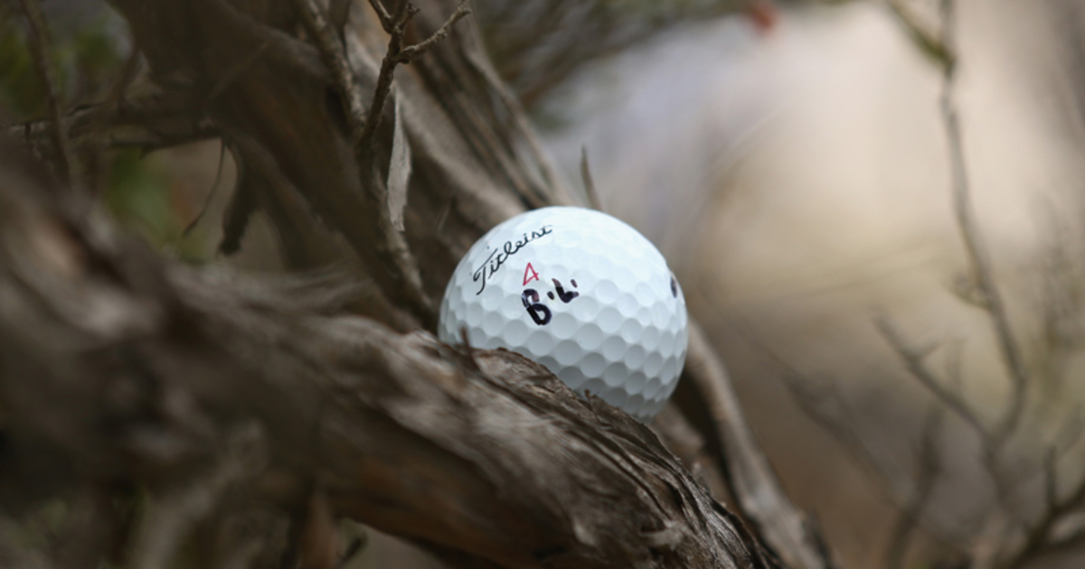 Bóng golf mắc kẹt trên cây xử lý thế nào?