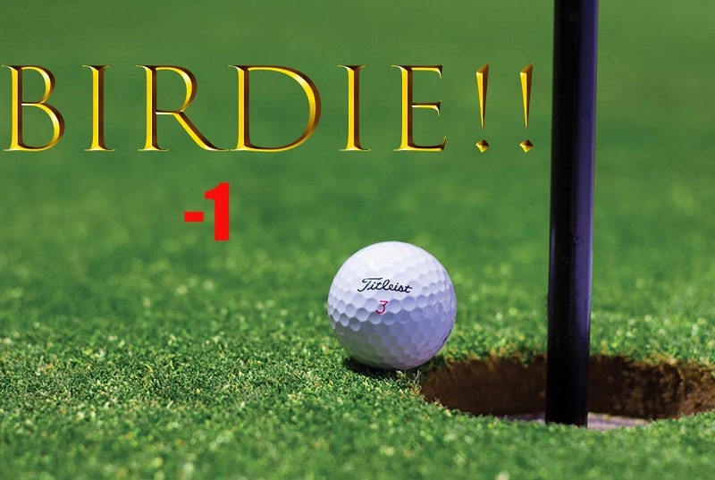 Birdie Golf Được Tính Như Thế Nào? Bạn Biết Gì Về Thuật Ngữ Này?