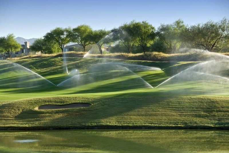 4 loại cỏ sân golf và cách bảo vệ cỏ chuẩn của chuyên gia